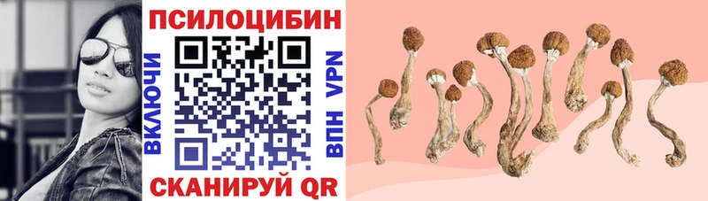 наркотики Пересвет Псилоцибиновые грибы ЛСД